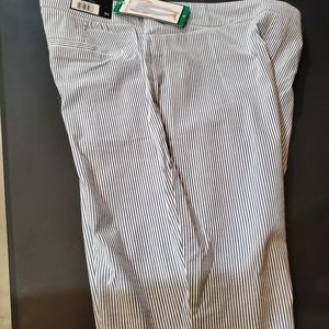 Blue vertical striped cropped pants